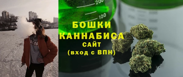 сатива Михайловка
