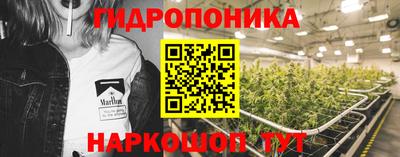 ECSTASY Нальчик