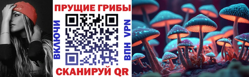Псилоцибиновые грибы Psilocybine cubensis Топки