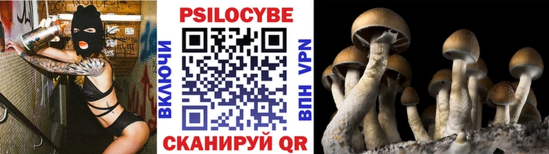 Псилоцибиновые грибы ЛСД  где продают   Топки 